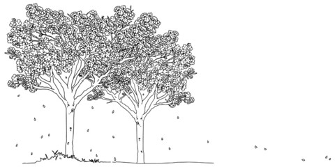 手描き線画の花びらが散る桜の木
