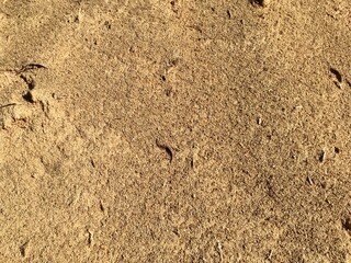 texture of sand
