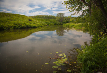 Fototapeta na wymiar Summer landscape of central Russia.