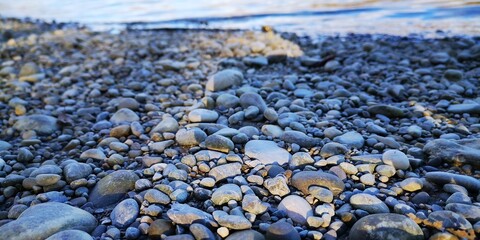 rocks on the beach