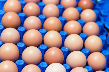 Blue egg tray