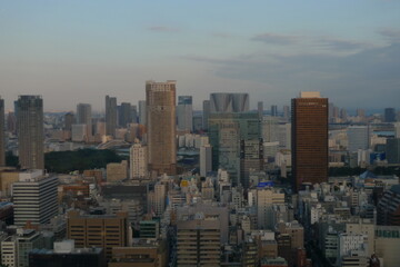 view of Tokyo from Tokyo Tower