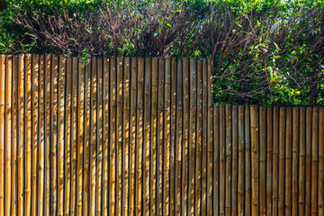 Bamboo Wall And Trees With