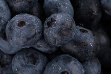 blueberries with water drops close up