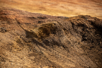 A close up of dry dirt road, tire tracks showing, dust and hillocks in red clay dirt makes an interesting background texture. 