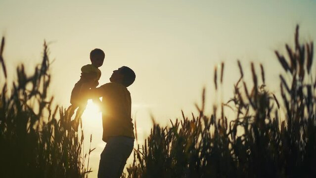 father throw up his son. parent play with baby a kid in park silhouette in the wheat field. happy family kid dream concept. father throw his light son up of sun silhouette. happy family in the park