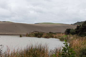 Sand dunes around lake Wainamu, New Zealand.