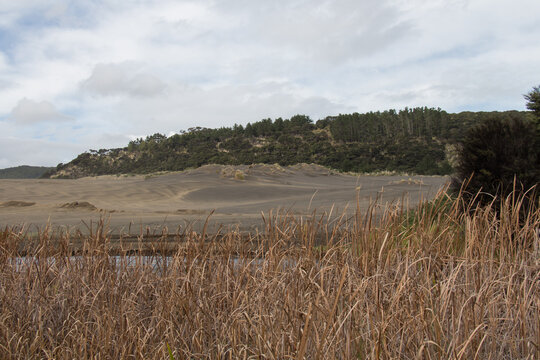 Sand dunes around lake Wainamu, New Zealand.