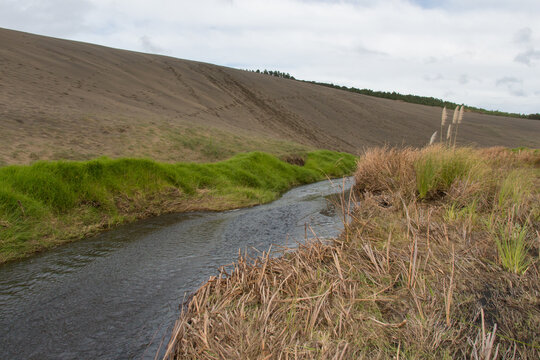 Sand dunes around lake Wainamu, New Zealand.
