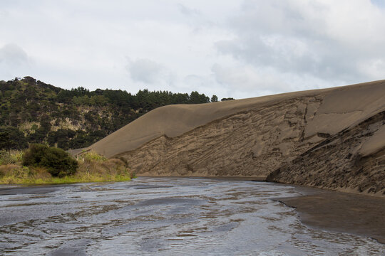 Sand dunes around lake Wainamu, New Zealand.