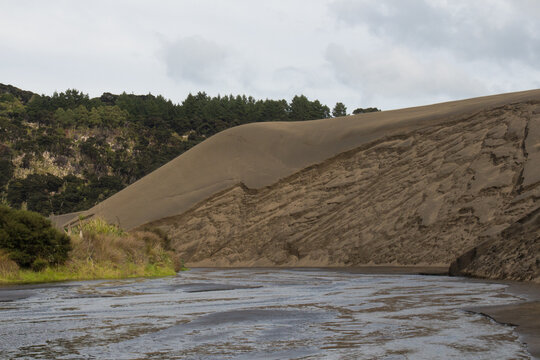 Sand dunes around lake Wainamu, New Zealand.