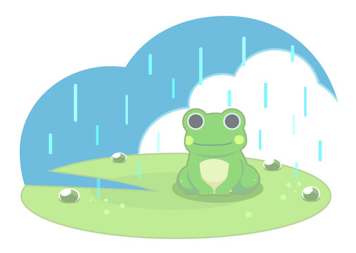 雨の中で蓮の上に乗るカエル