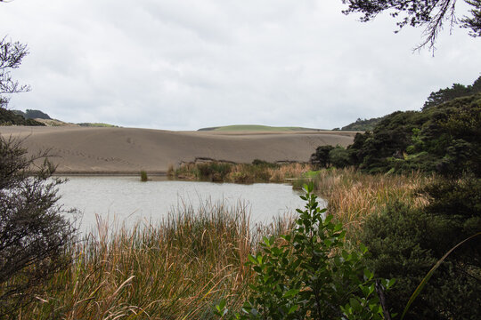 Sand dunes around lake Wainamu, New Zealand.