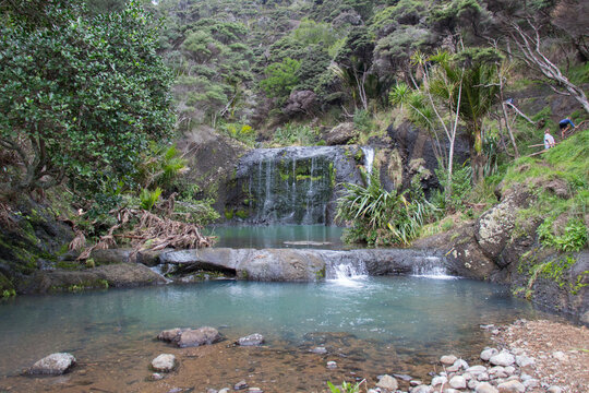 Wainamu or Waitohi waterfalls, West coast of North Island, New Zealand.