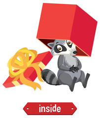 Preposition wordcard with raccoon inside box