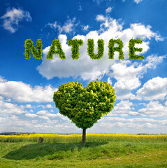 Natur und Umwelt