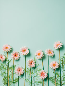 Fototapeta Pink marigold flowers and fresh leaves in a row on pastel green background. Creative floral spring bloom concept. Still life natural visual trend idea. Flat lay.