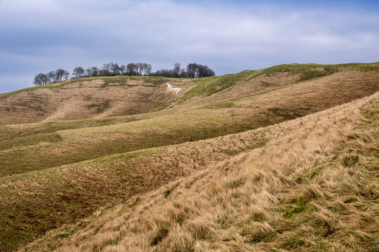 The white horse of Cherhill on the Marlborough Downs North Wessex Wiltshire south west England