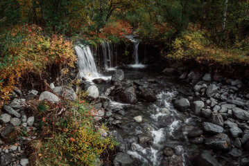Obraz na płótnie Canvas a small waterfall in the forest