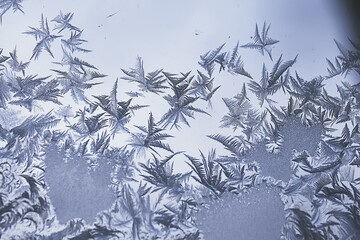 frost patterns on window glass, abstract background winter rime snow
