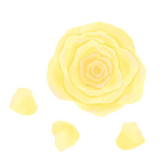 黄色のバラの花と花びら