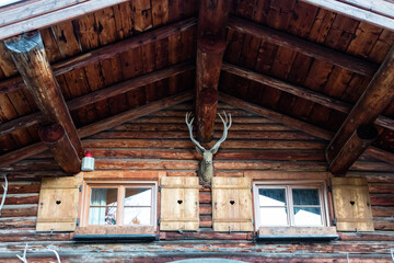 Exterior of log cabin with deer head trophy