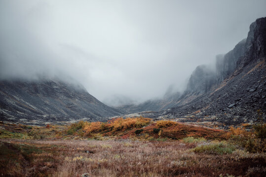 mountain gorge in the north in autumn in foggy weather
