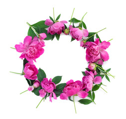 Fototapeta na wymiar Round garland of beautiful pink peonies on white isolated background. Creative floral wreath.