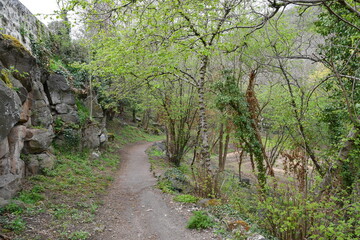 Fototapeta na wymiar chemin de randonnée de Neschers serpentant au milieu d'un belle foret au bord de la rivière couze 