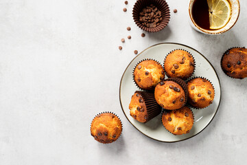 Chocolate chip muffins in plate on light gray background. top view