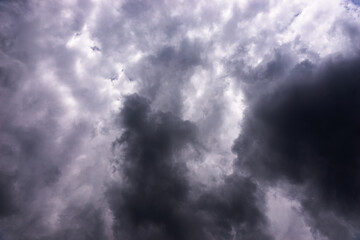 Fototapeta premium Dramatic dark cloudscape. Dark storm clouds as background