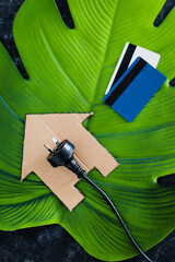 house icon on green leaf with Australian plug on it next to payment cards, concept of renewable energy and clean power sources like solar energy