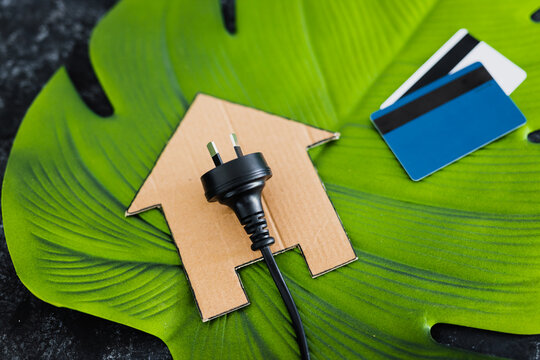 house icon on green leaf with Australian plug on it next to payment cards, concept of renewable energy and clean power sources like solar energy