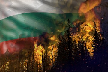 Forest fire natural disaster concept - flaming fire in the woods on Bulgaria flag background - 3D illustration of nature