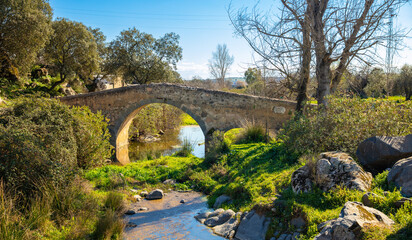 Fototapeta na wymiar old bridge in countryside- Spain