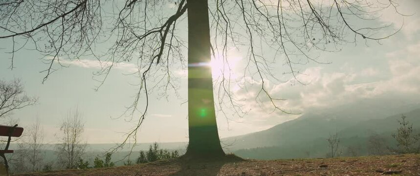 Parco Burcina Anamorphic dolly movement, Italy