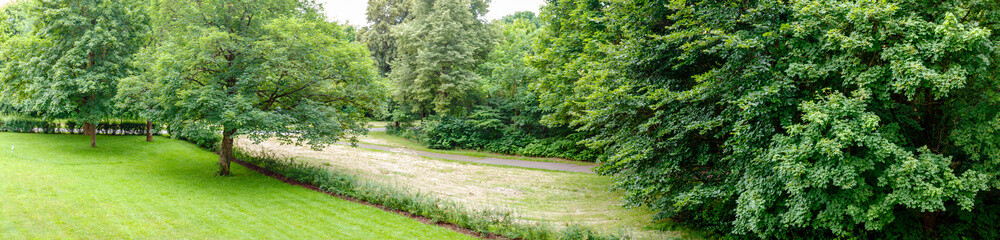 Picture of field in nature