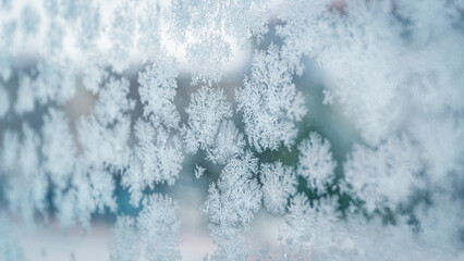 Snow crystals formed on the window during the cold months of winter
