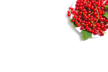 branches of red currants in a white wooden box on a white background, blank for creativity, close-up