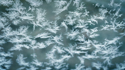 Snow crystals formed on the window during the cold months of winter
