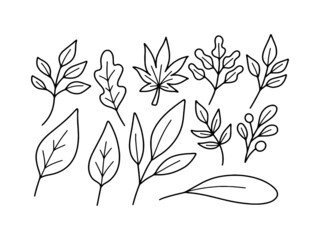 Collection of Autumn Leaf Doodle Illustration