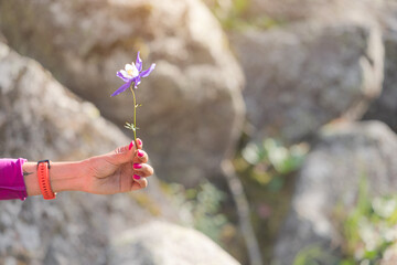 A girl sniffs the scent of spring wildflowers