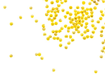 Millet groats isolated on a white background.