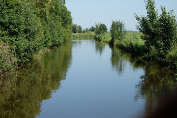 Fototapeta na wymiar FU 2020-08-11 Fries T2 541 Durch die Natur führt ein Fluss