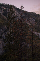 Autumnal natural landscape from Yosemite National Park, California, United States