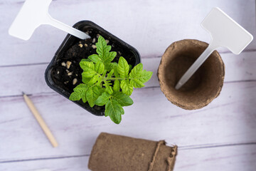 a pot with a tomato sprout, peat pots for seedlings, garden labels and a pencil