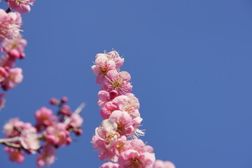 Spring is just around the corner