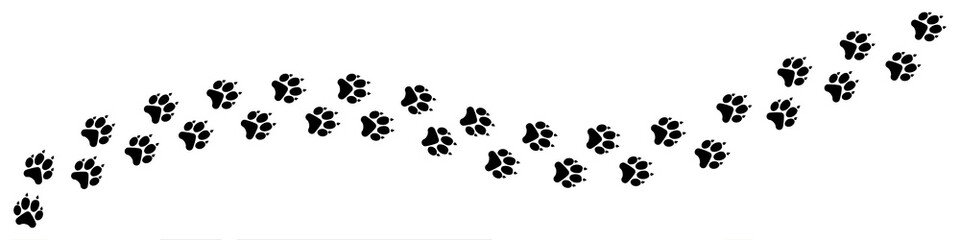 nvis22 NewVectorIllustrationSign nvis - paw vector foot trail print of dog - track banner . animal tracks background . transparent sign . 4to1 . AI 10 / EPS 10 . g11255 © fotohansel