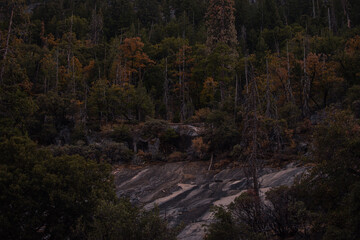 Autumnal natural landscape from Yosemite National Park, California, United States
