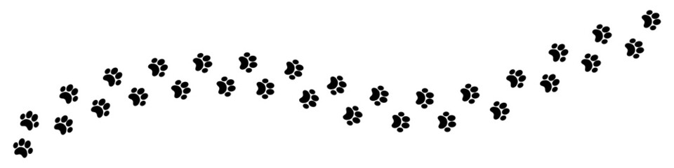 nvis23 NewVectorIllustrationSign nvis - paw vector foot trail print of cat - track banner . animal tracks background . transparent sign . 4to1 . AI 10 / EPS 10 . g11256 - obrazy, fototapety, plakaty